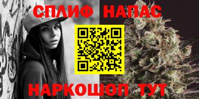 дмт Бузулук