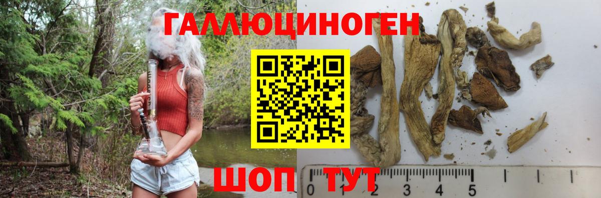 Тавда  Галлюциногенные грибы MAGIC MUSHROOMS  Псилоцибиновые грибы ЛСД  Вход с VPN 