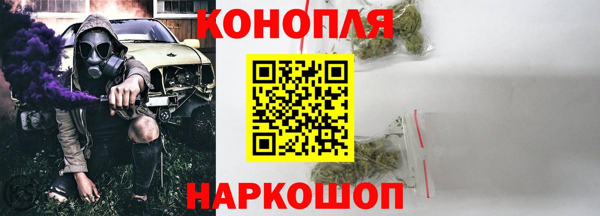 Марихуана сатива Тавда